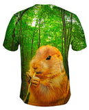Hungry Beaver