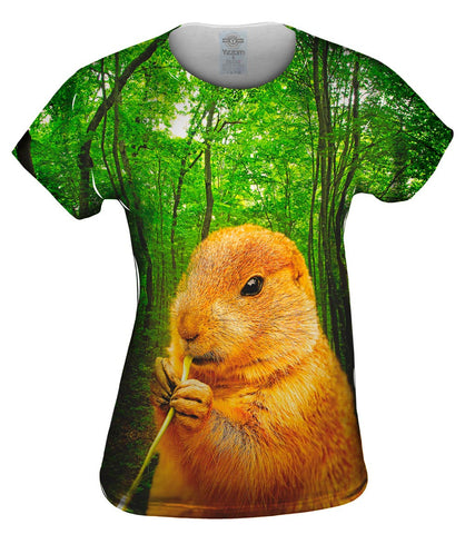 Hungry Beaver