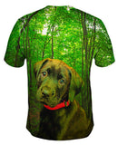 Black Lab Forest
