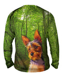 Long Haired Yorkie Forest