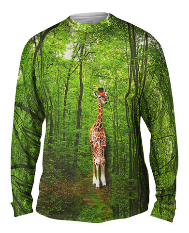 Giraffe Lost In The Forest