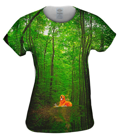 Golden Retriever Forest