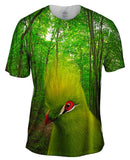 Green Bird Forest