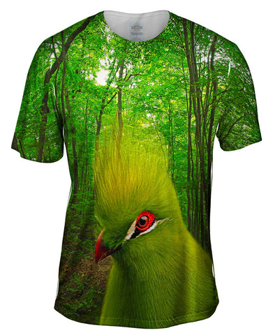 Green Bird Forest