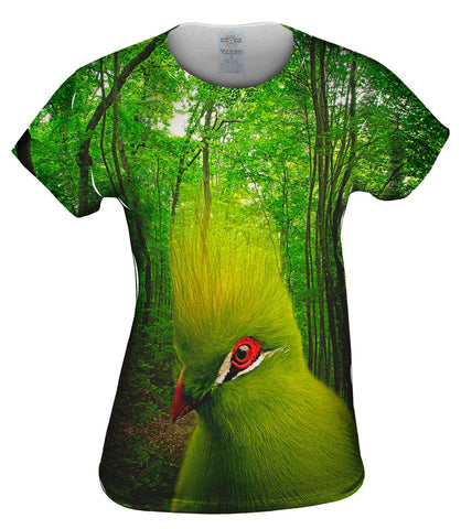 Green Bird Forest