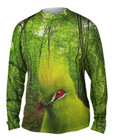 Green Bird Forest
