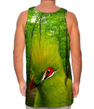 Green Bird Forest