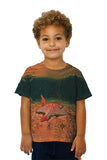 Kids Star Attraction