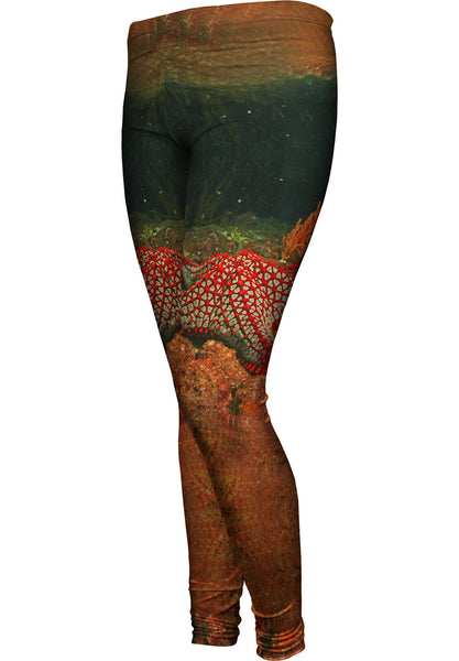 Star Attraction&nbsp;Womens Leggings