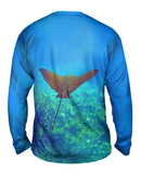 Eagle Ray Wonder