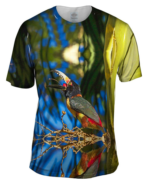 Ripe Palm Aracari Mens T-Shirt