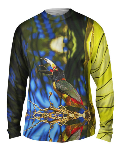 Ripe Palm Aracari