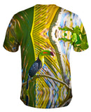 Keel Billed Tucan