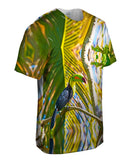 Keel Billed Tucan