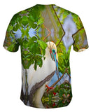 Rest Red Footed Boobies