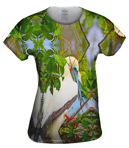 Rest Red Footed Boobies Womens Top