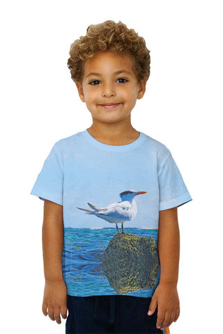 Kids Relax Royal Tern
