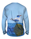 Relax Royal Tern