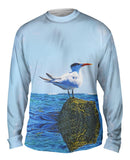 Relax Royal Tern