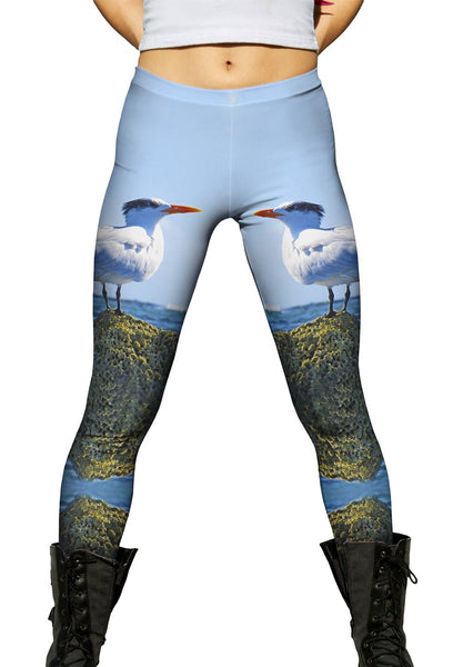 Relax Royal Tern&nbsp;Womens Leggings