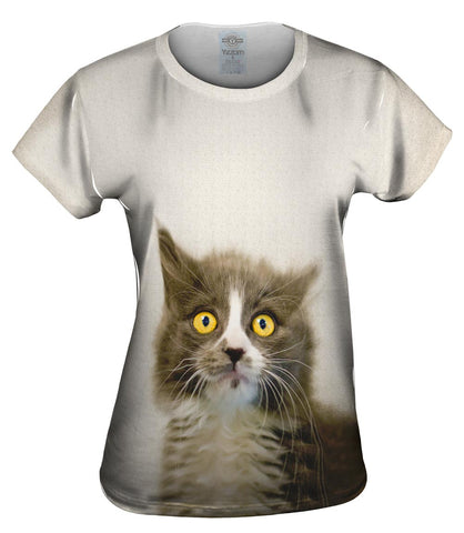 Look At Me Kitty Cat