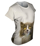 Look At Me Kitty Cat