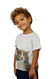 Kids Look At Me Kitty Cat