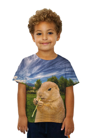 Kids Cloudy Beaver Chew