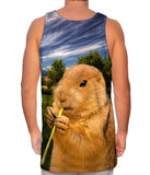 Cloudy Beaver Chew