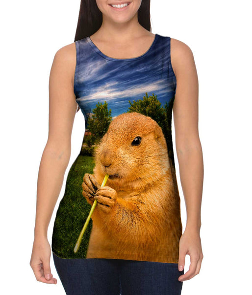 Cloudy Beaver Chew&nbsp;Womens Tank Top