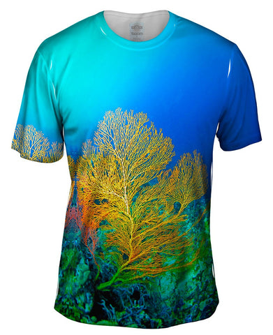 Yellow Coral Underwater