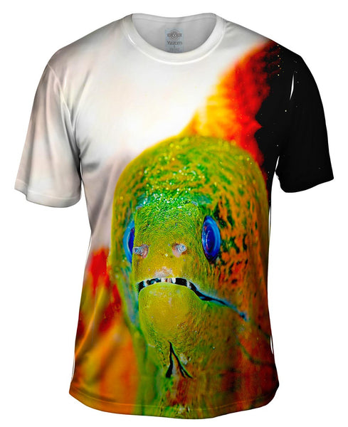 Moray Eel Peeks Underwater Mens T-Shirt
