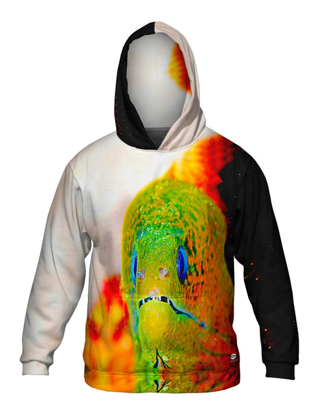 Moray Eel Peeks Underwater&nbsp;Mens Hoodie Sweater
