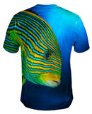 Sweet Lip Underwater