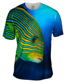 Sweet Lip Underwater