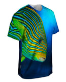 Sweet Lip Underwater