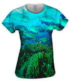 Bumphead Parrotfish Underwater