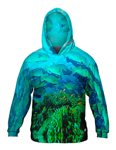 Bumphead Parrotfish Underwater