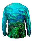 Bumphead Parrotfish Underwater