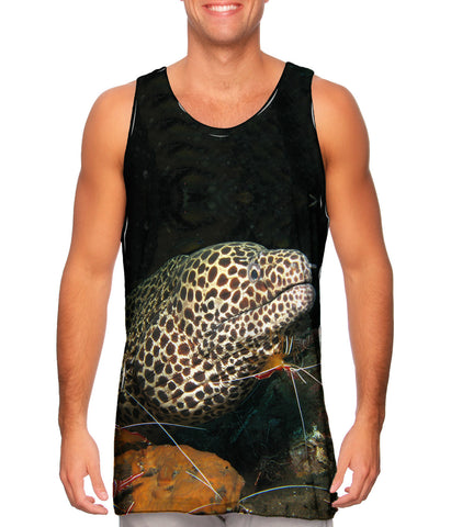 Honeycomb Moray Underwater