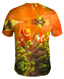 Anemone Fish Underwater