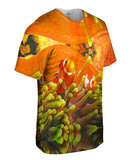 Anemone Fish Underwater