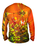 Anemone Fish Underwater