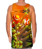 Anemone Fish Underwater