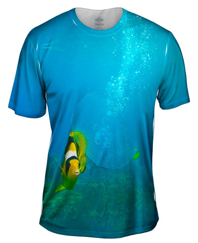 Butterfly Fish Jelly Underwater