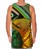 Snapping Eel Underwater