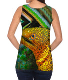 Snapping Eel Underwater