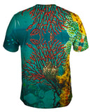 Bass Point Underwater