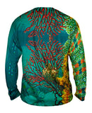 Bass Point Underwater