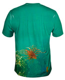 Baby Lionfish Underwater